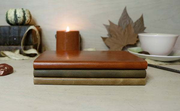 Autumn Series. Set of 3 Leather Notebooks in burnt orange, antique green and brown colors. Turning Leaves