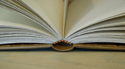 Handpainted Leather Blank Book with Original Artwork - The Alchemy of Love. One of a Kind.