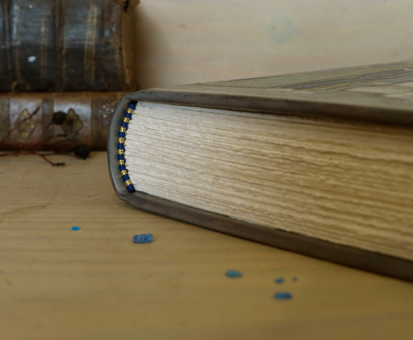 Handpainted Leather Journal / Blank Book with Original Artwork - A Dance Macabre of the Feminine Devine. One of a Kind