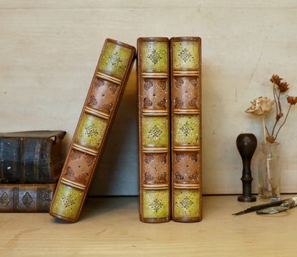 Brown leather journal with tooled and hand painted decoration. Artist paper. Mosslight