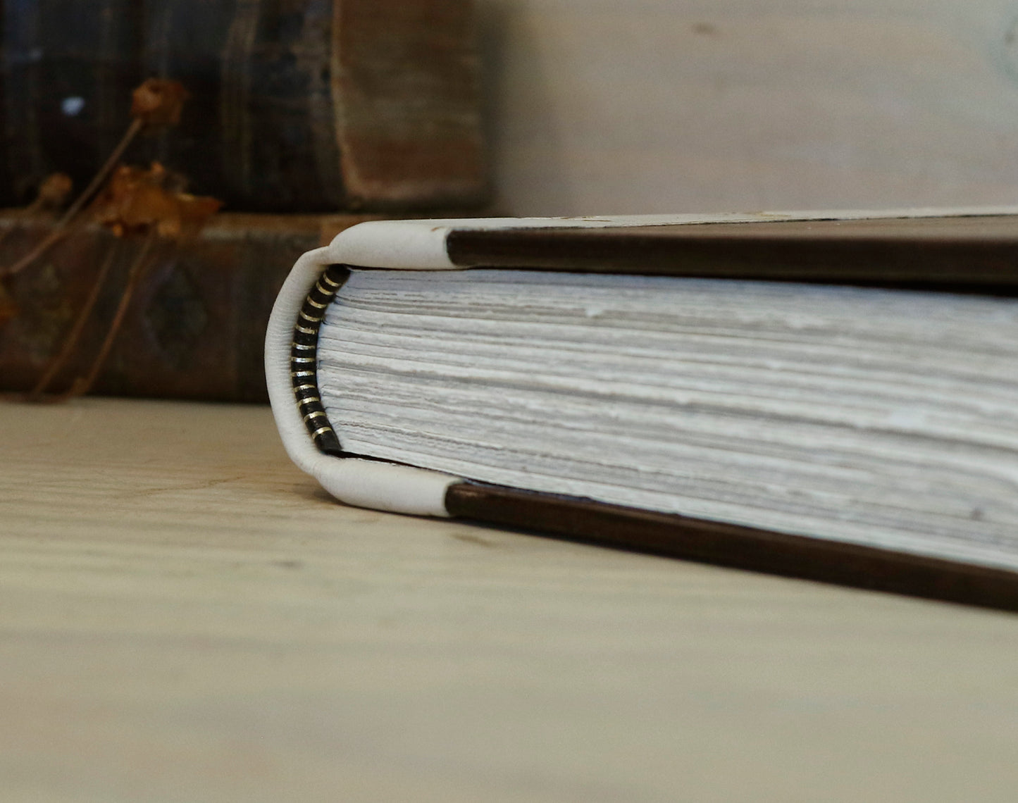 Vintage leather journal, Brown and white leather with Gold tooled decoration. The Book of Light