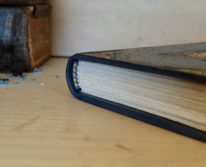 Blue leather journal with gold tooled decoration. Scarab of the Night