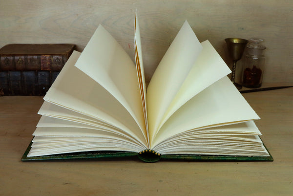 One of a kind green leather journal with handpainted decoration - A Garden in Bloom