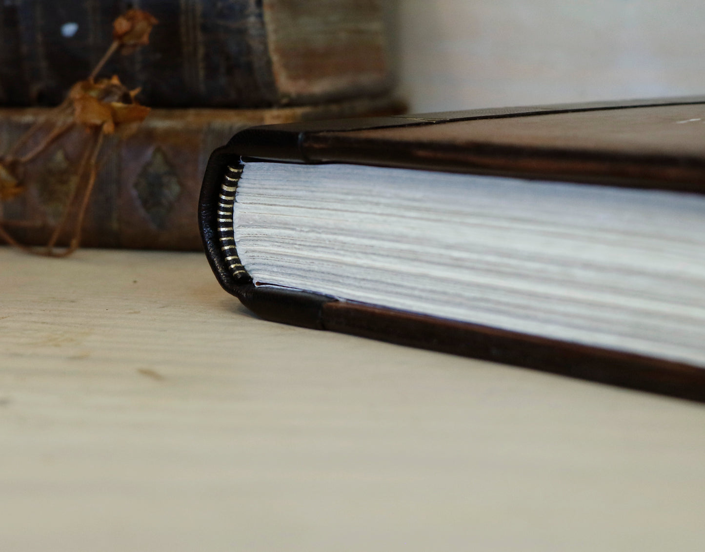 Vintage leather journal, Gold tooled decoration. The Old Book
