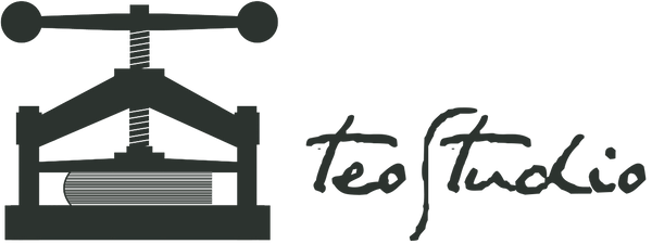 TeoStudio